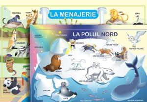 La menajerie / La Polul Nord; planșă