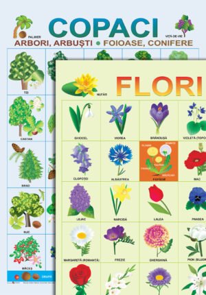 Copaci și flori; planșe