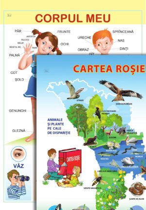 Corpul meu / Cartea roșie; planșă