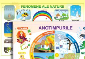 Anotimpurile / Fenomene ale naturii; planșă