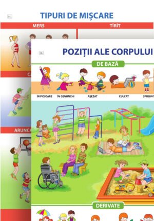 Poziţii ale corpului / Tipuri de mișcare; planșă