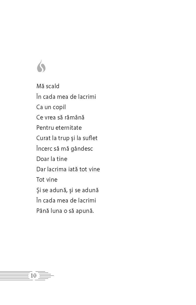 Lacrimosa - imagine 3