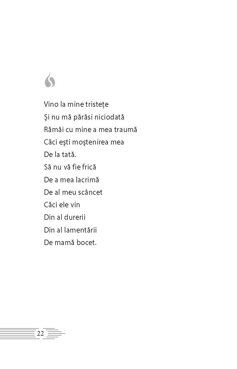 Lacrimosa - imagine 4