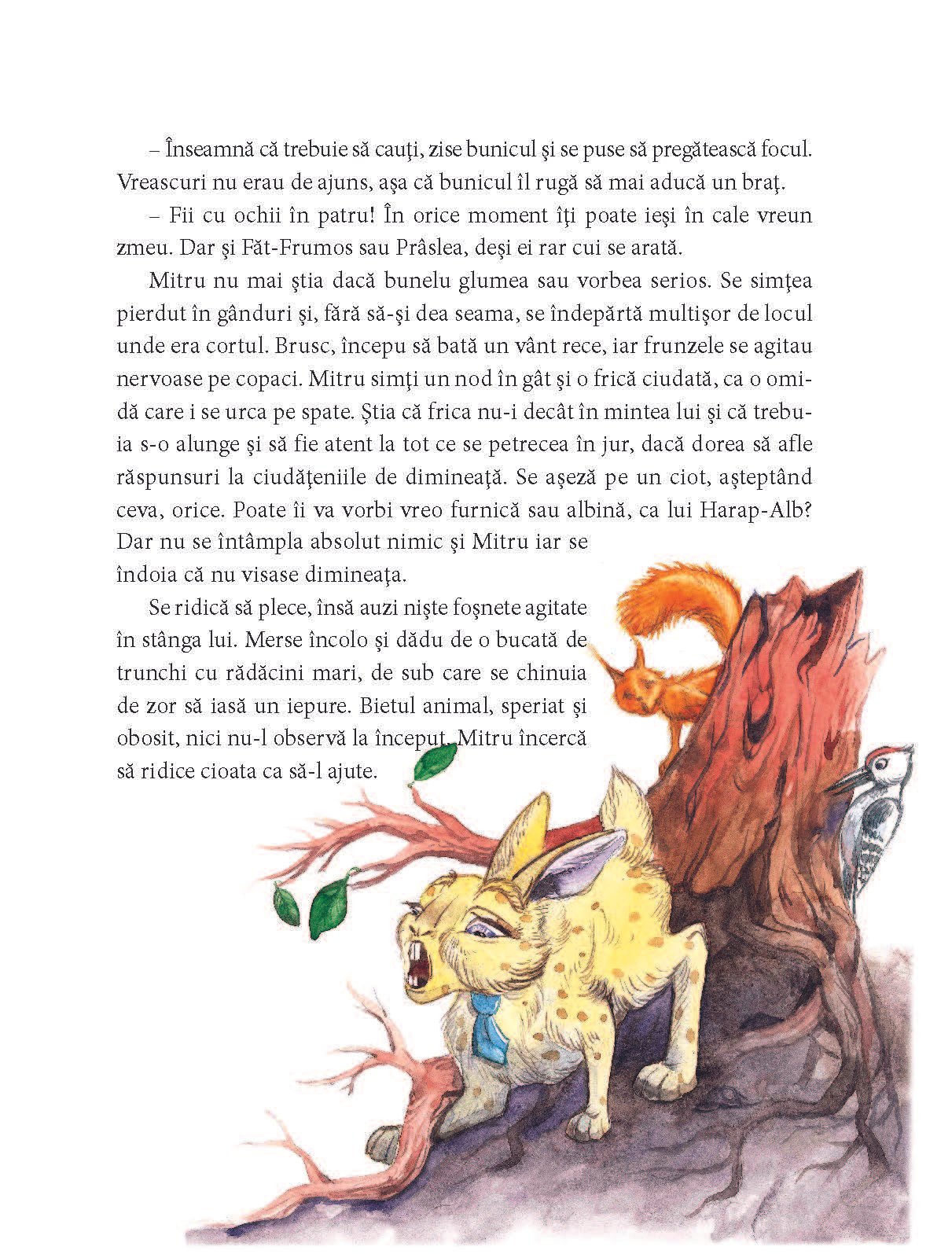 Întâlnirea cu eroii poveștilor românești • Cine l-a salvat pe Făt-Frumos? - imagine 5